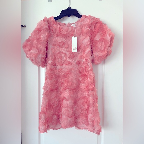 Social Little Girls Puff Short-Sleeve Rosette Dress - Picture 1 of 5